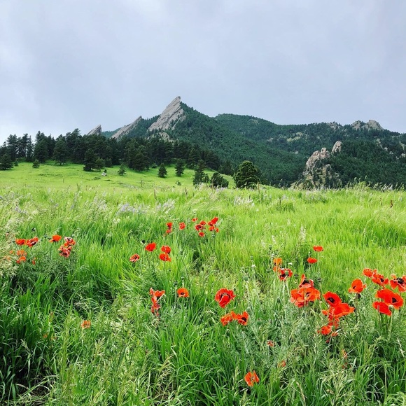 Meet your Posher, Hannah - Picture 1 of 1